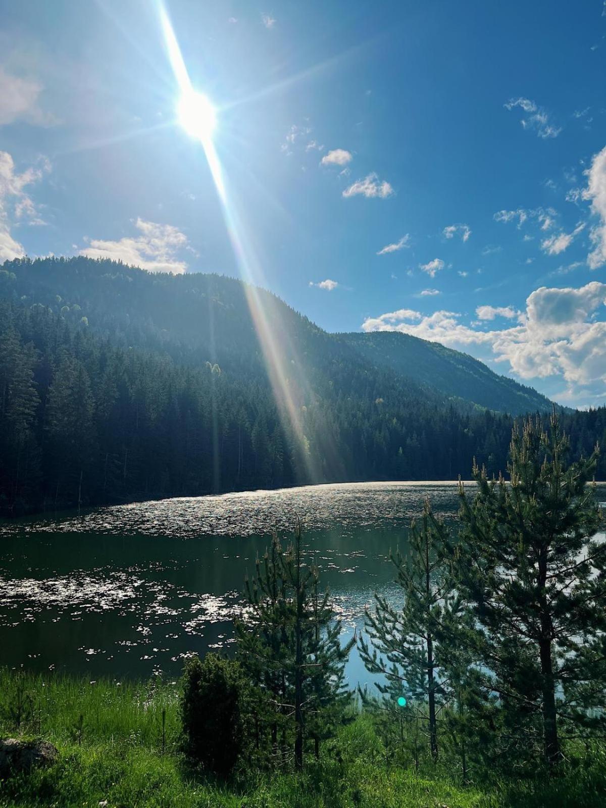 Zminica Lake House Žabljak Exterior foto