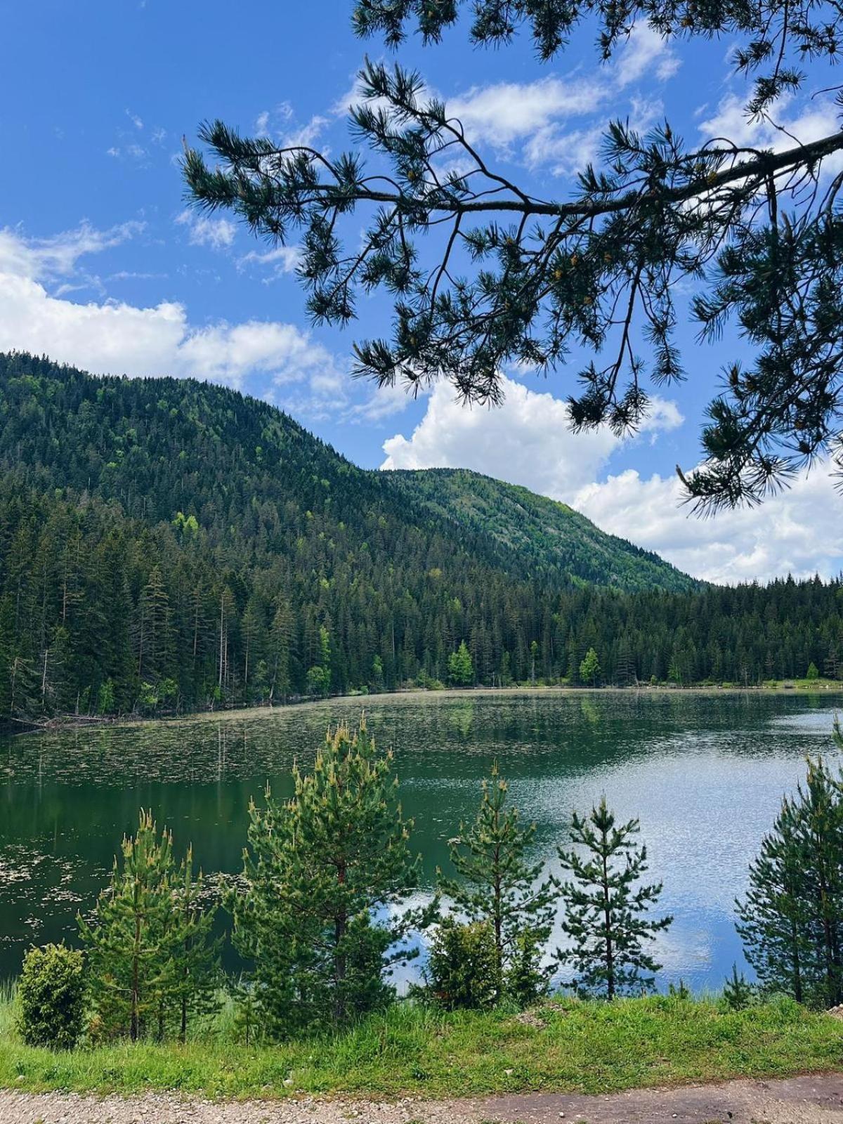 Zminica Lake House Žabljak Exterior foto
